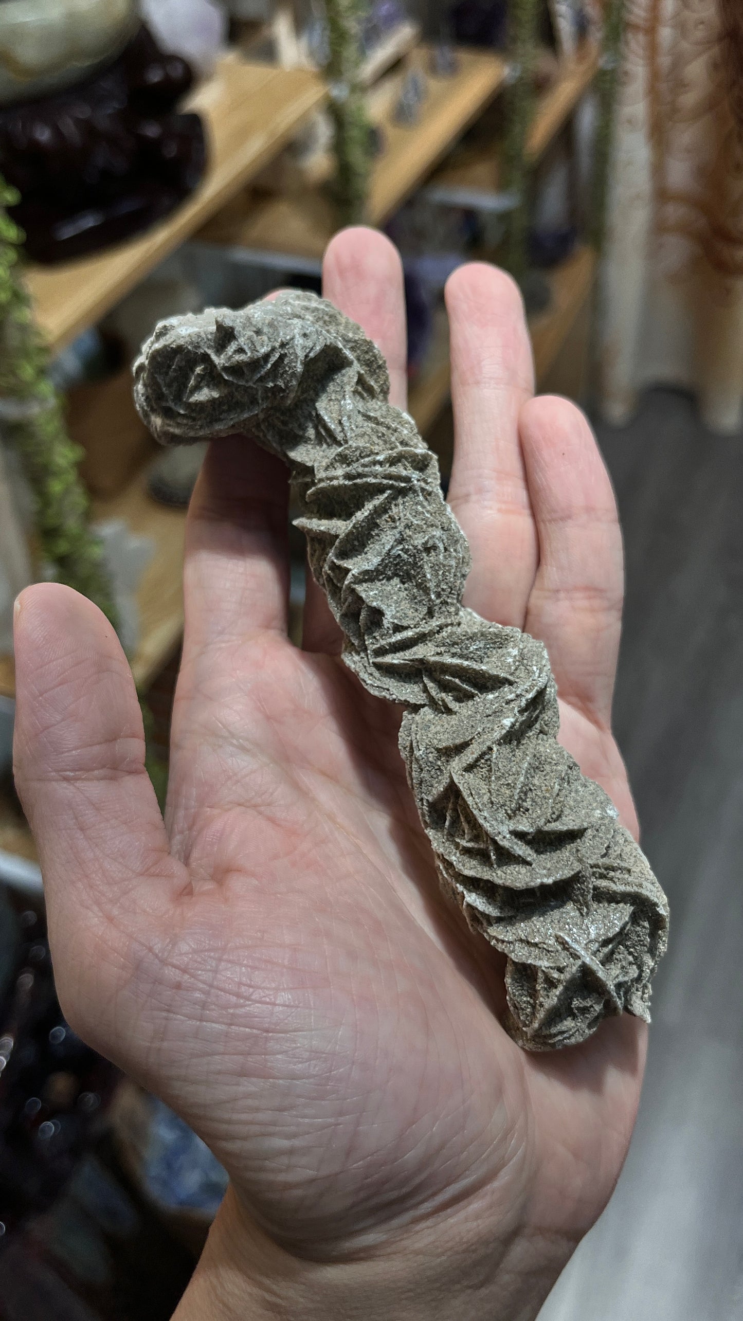 Desert Rose Selenite From Mexico - 153g - Selenite Rose - Sand Rose