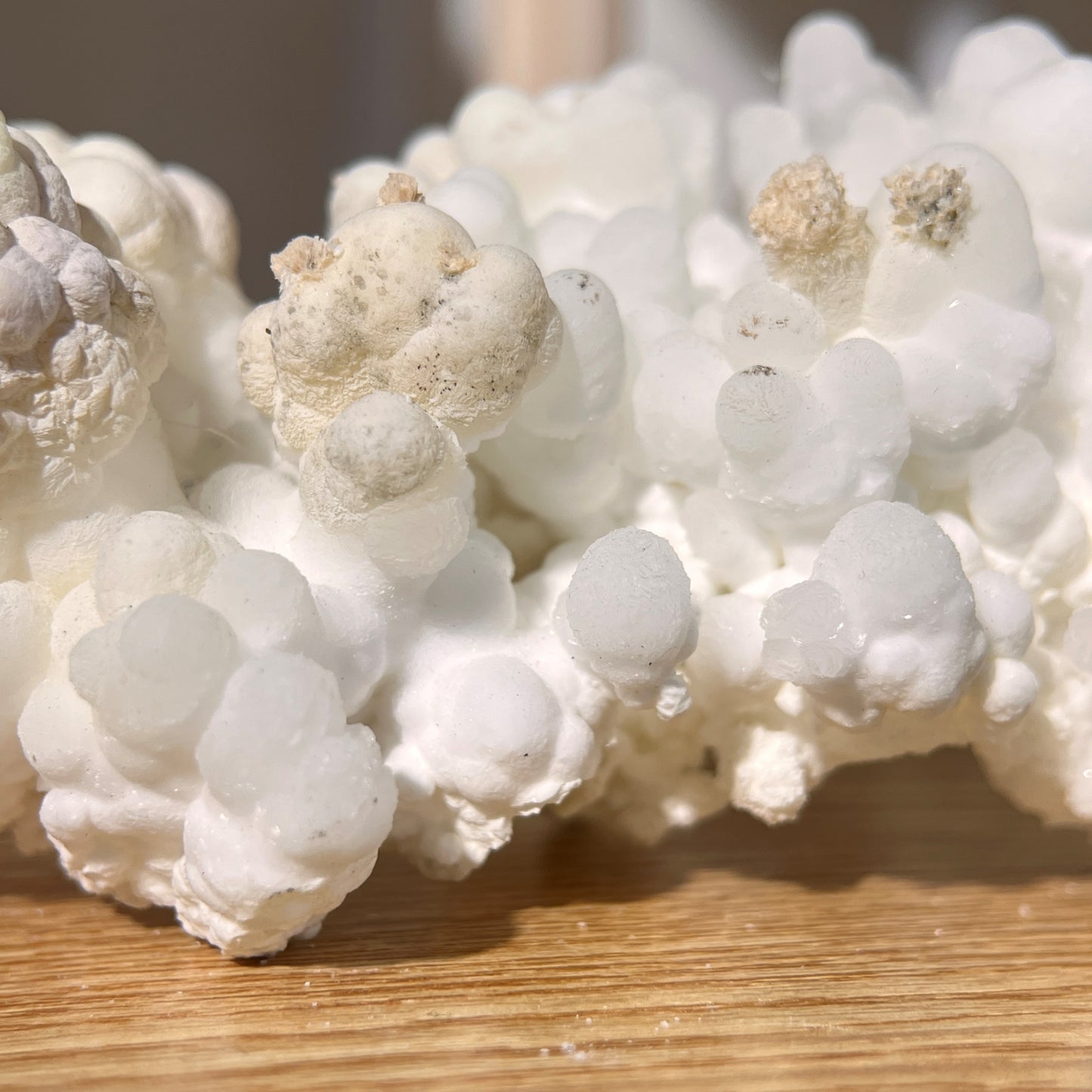 Hydrozincite Specimen | Crystals Formed | 161g