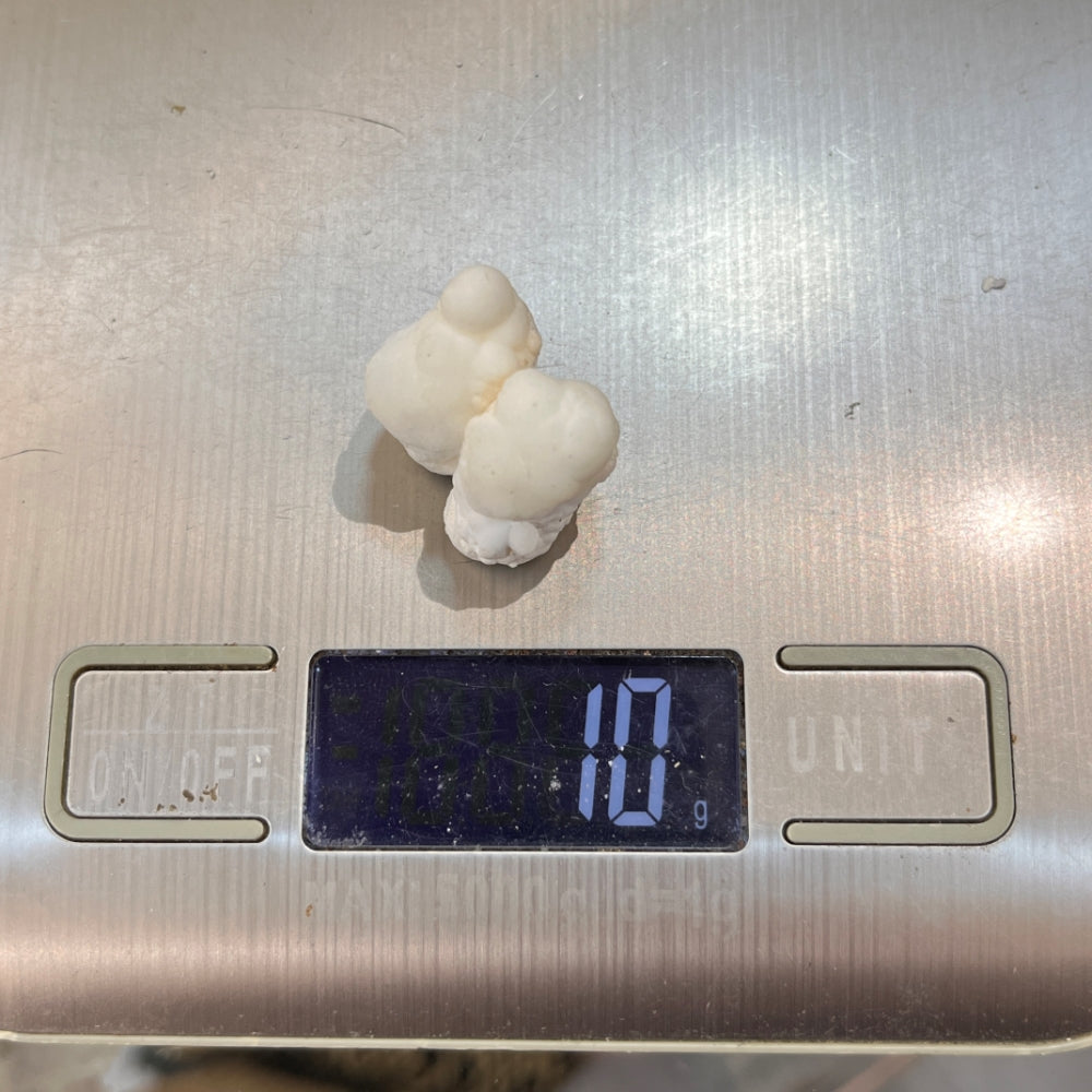 Hydrozincite Specimen | Crystals Formed | "The 2 Friends" 10g