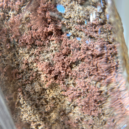 Red Phantom | Silver Rutilated Quartz Symbiosis Freefrom - Half Polished